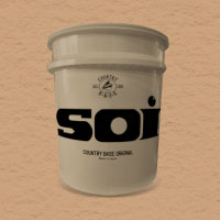 Soi